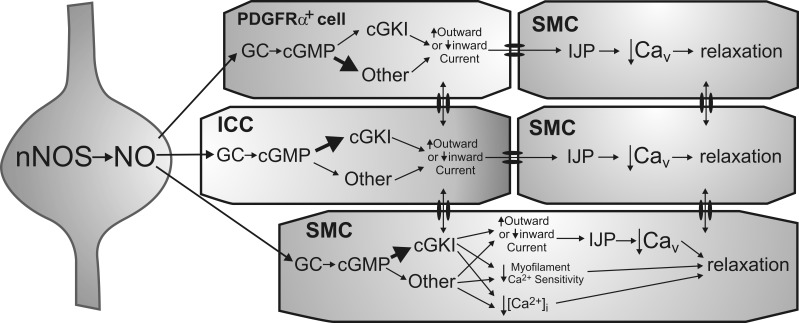 Fig. 10.