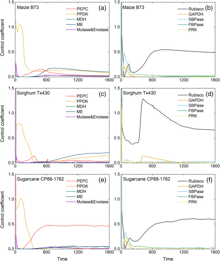 Figure 7