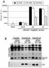 FIG. 7.