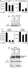 FIG. 6.