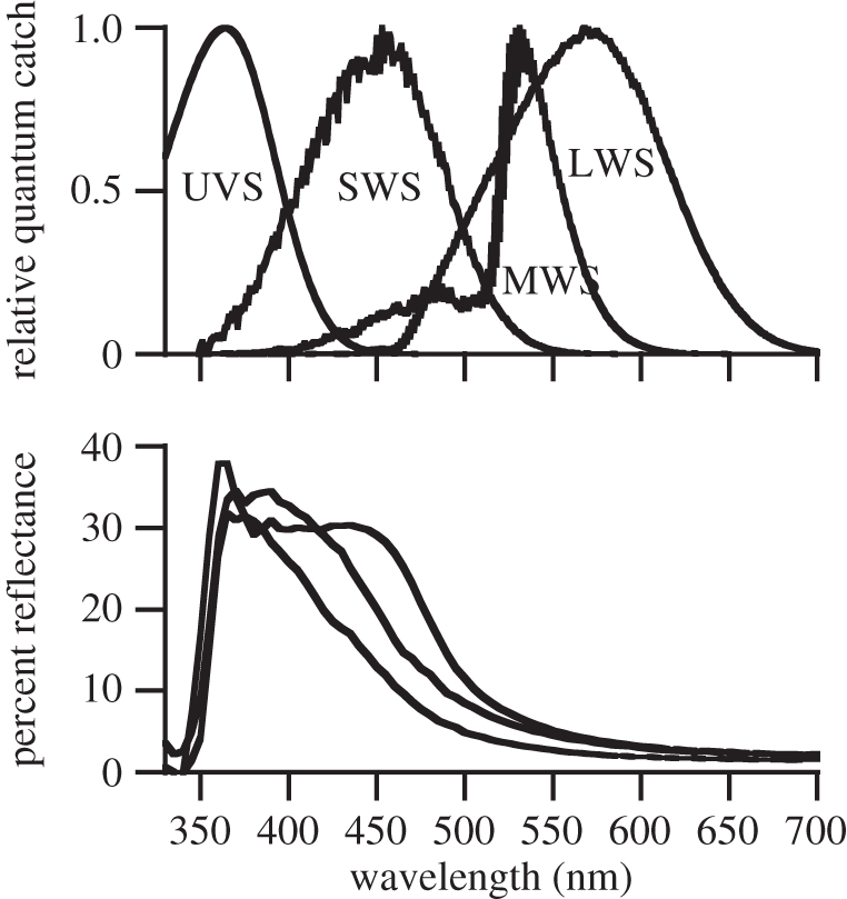 Figure 6.