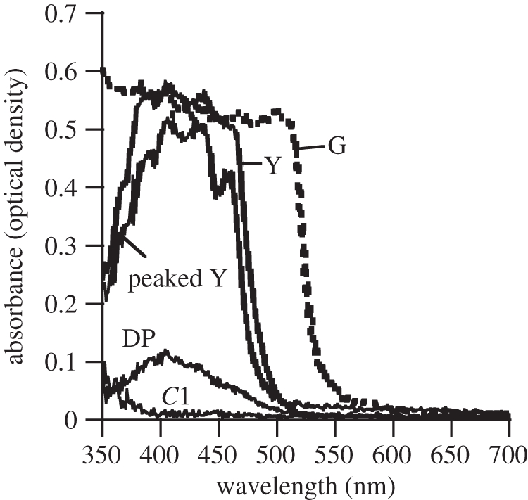 Figure 4.