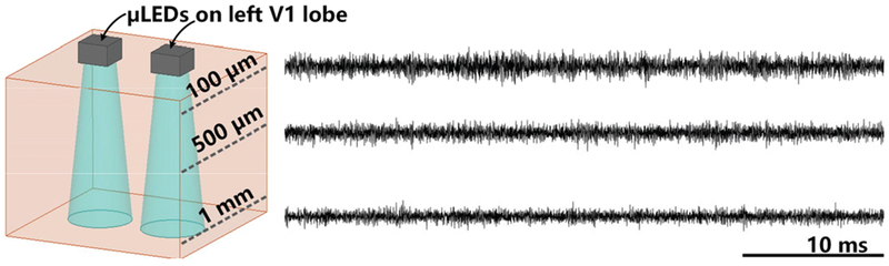 Fig. 14.