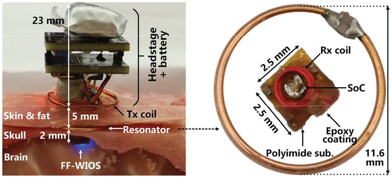 Fig. 17.