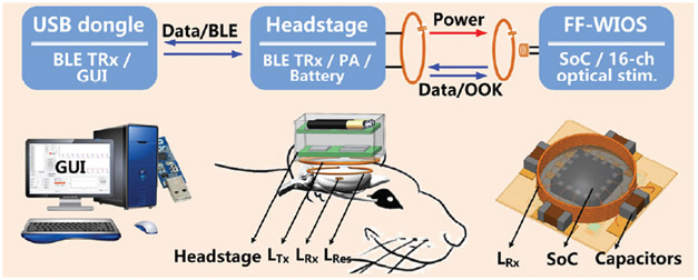 Fig. 1.