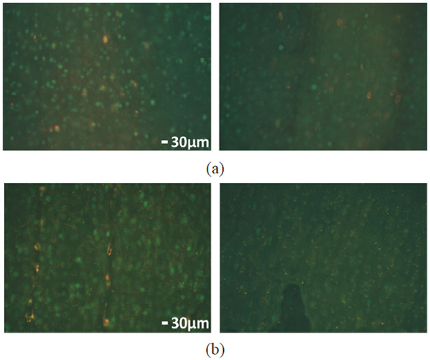 Fig. 16.