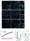 Figure 5