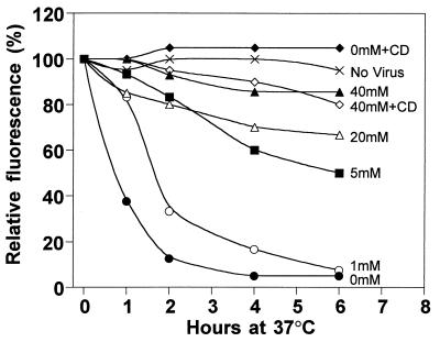 FIG. 6