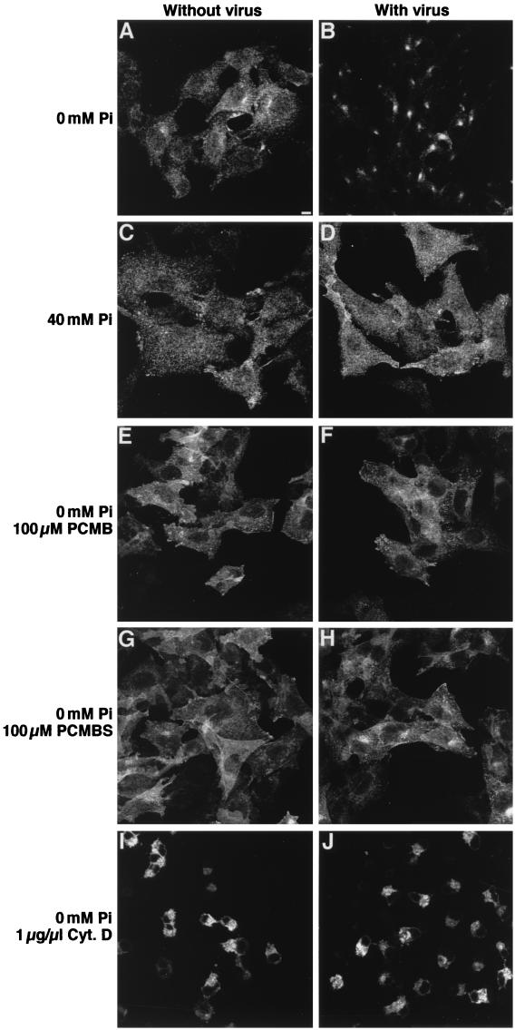 FIG. 7