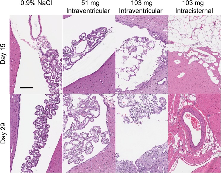 Fig. 6