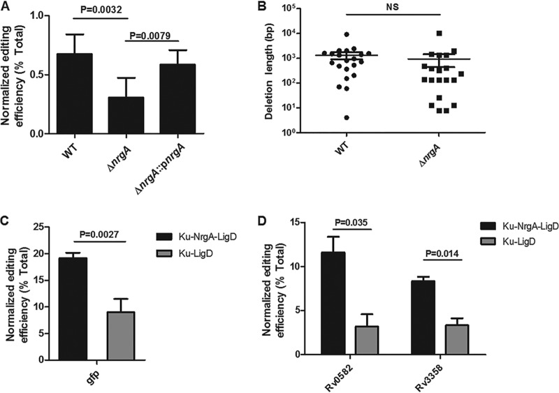 FIG 3