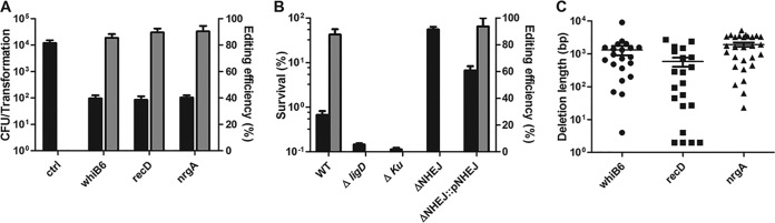 FIG 2