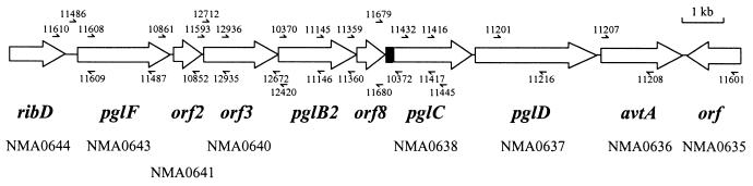 FIG. 1