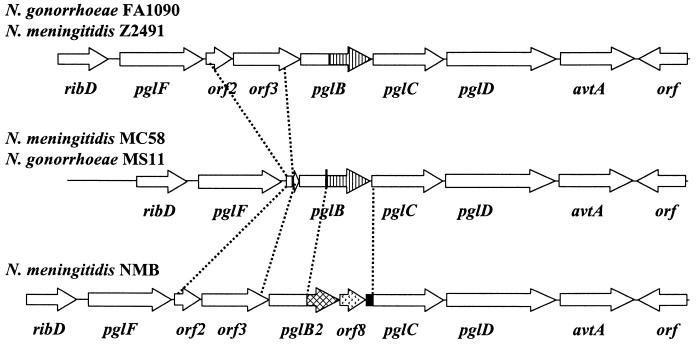 FIG. 3