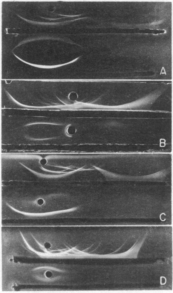 graphic file with name pnas00046-0358-a.jpg