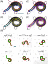 Fig 3