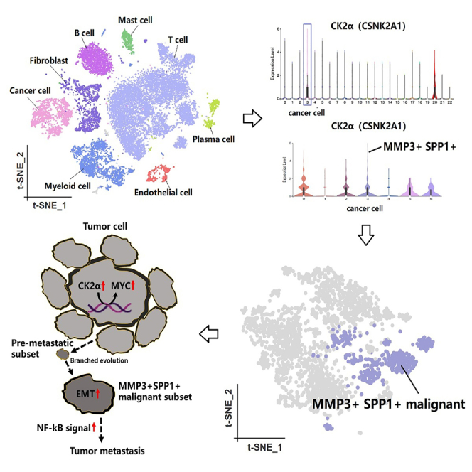 graphic file with name fx1.jpg