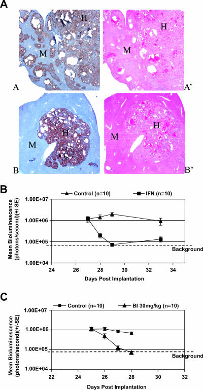 FIG. 4.