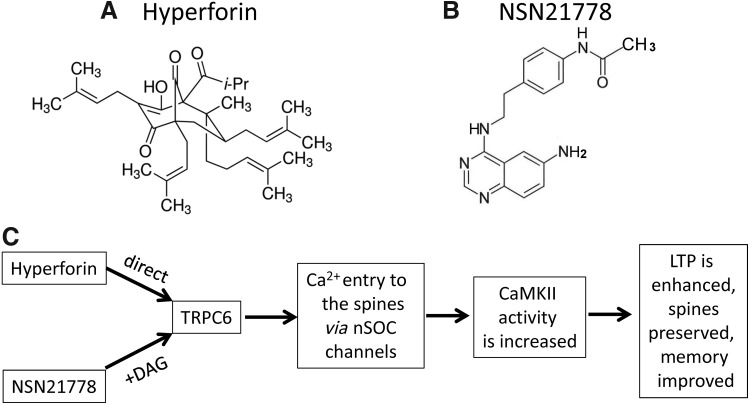 FIG. 6.