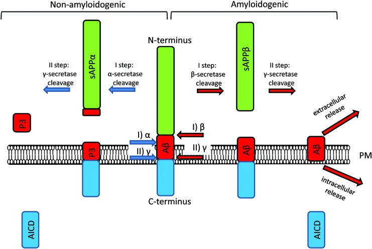 FIG. 1.