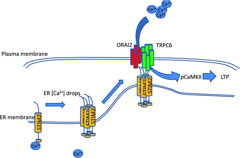 FIG. 4.