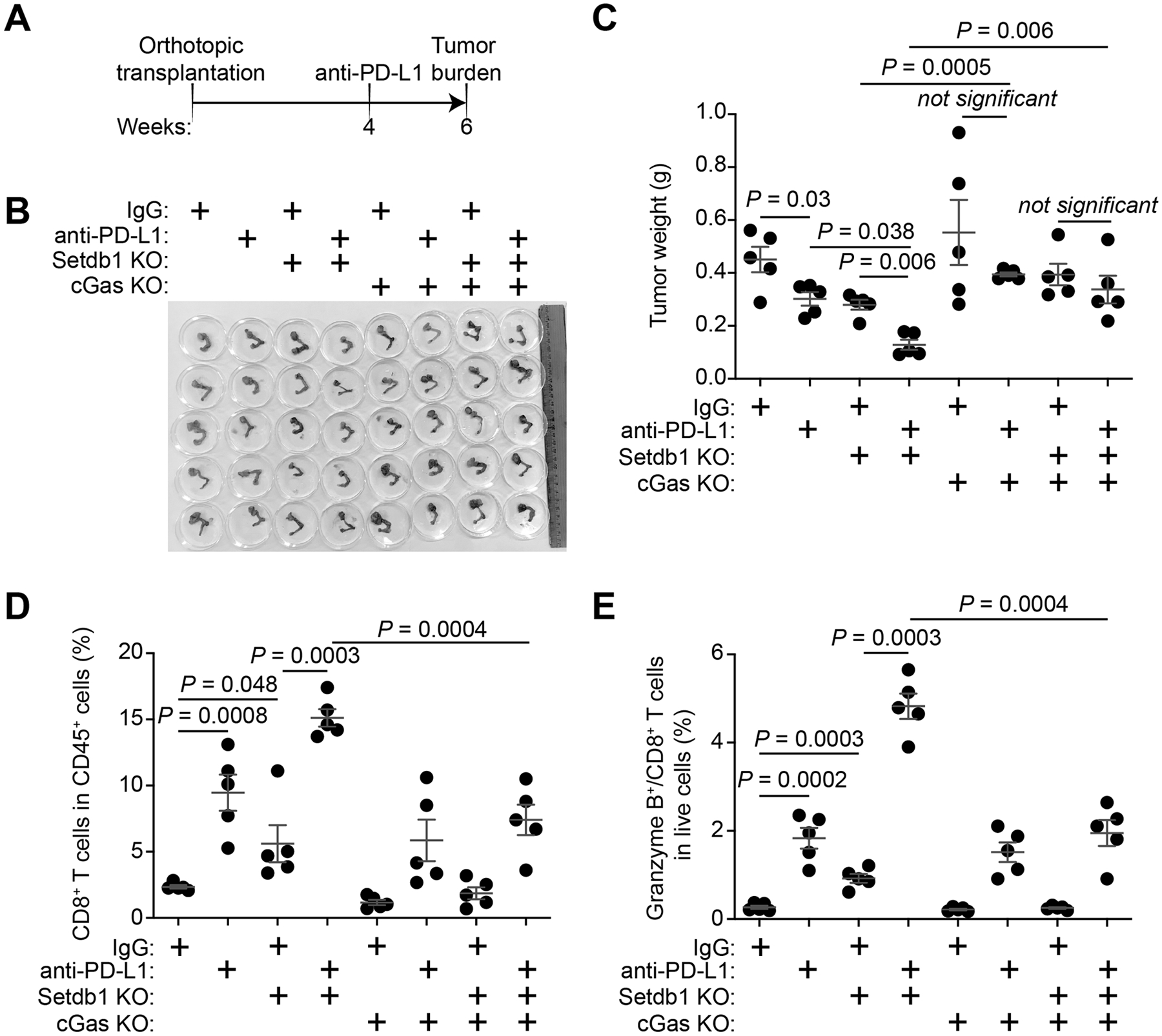 Figure 4: