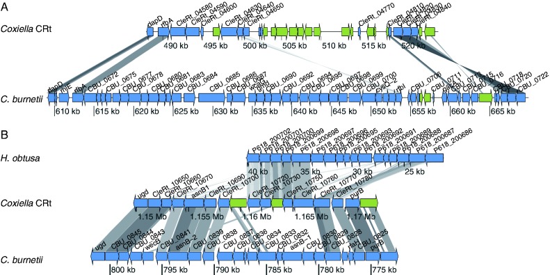 Fig. 4.—