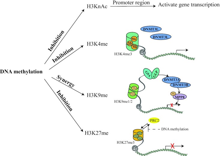 FIGURE 2