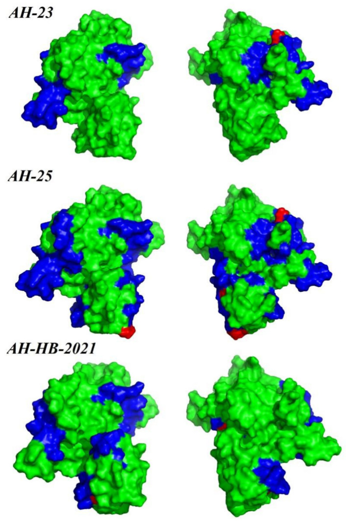 Figure 7