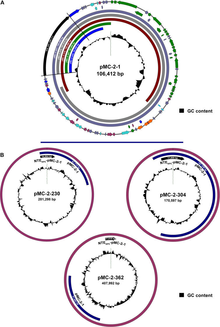 FIGURE 3