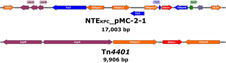 FIGURE 4