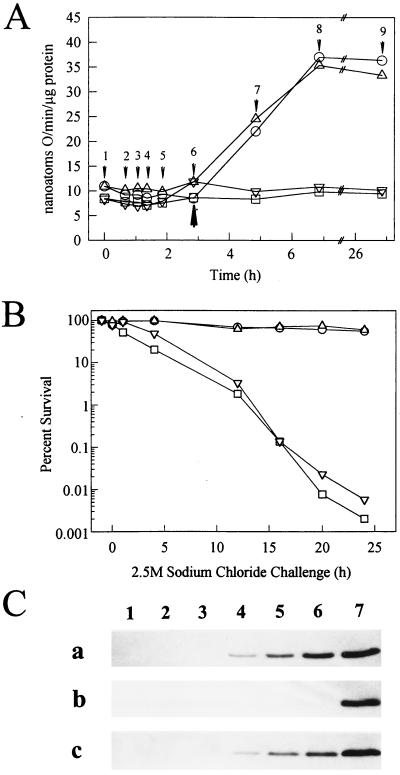 FIG. 1