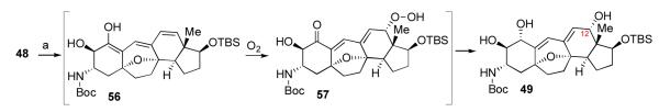 Scheme 14