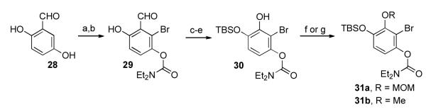 Scheme 7