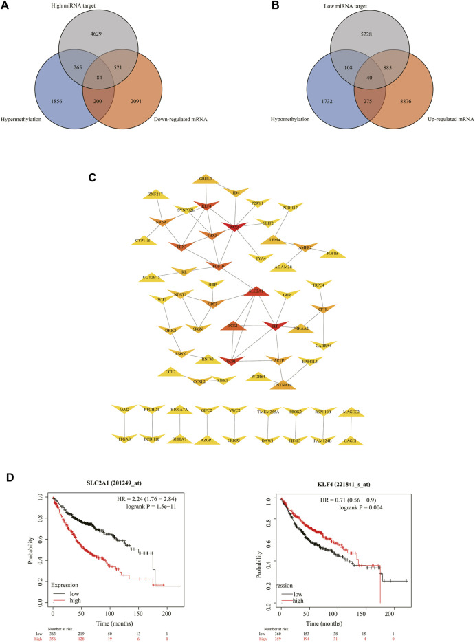 FIGURE 6