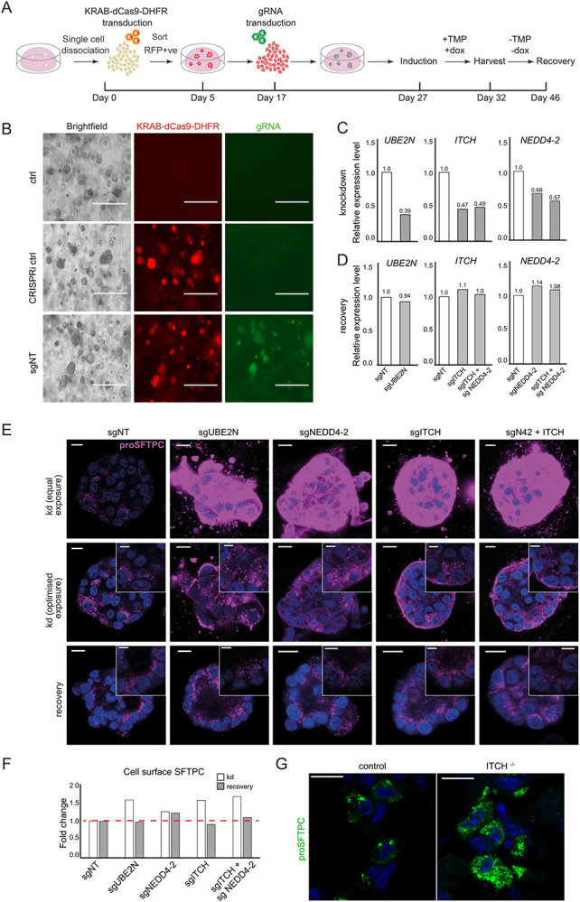 Fig. 4: