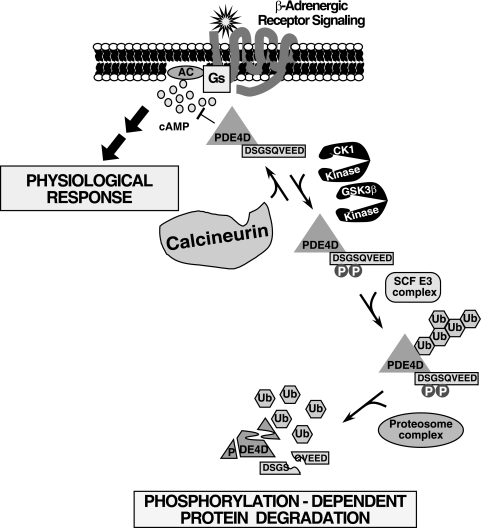 FIG. 9.