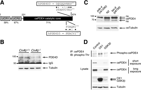 FIG. 8.