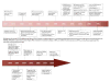 Timeline