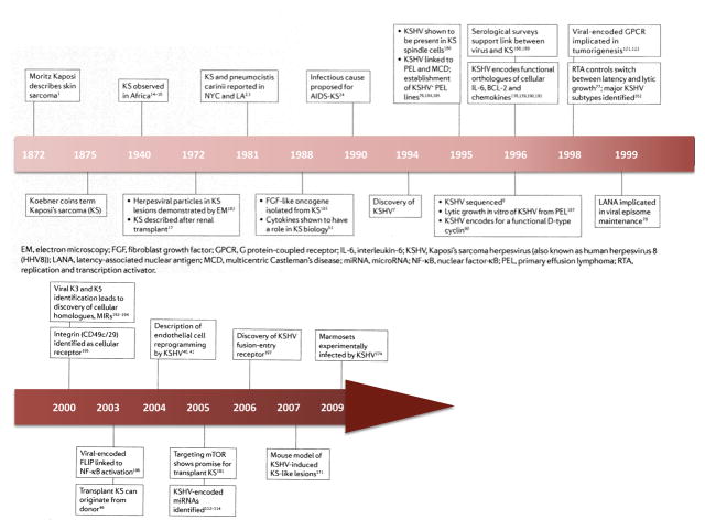 Timeline