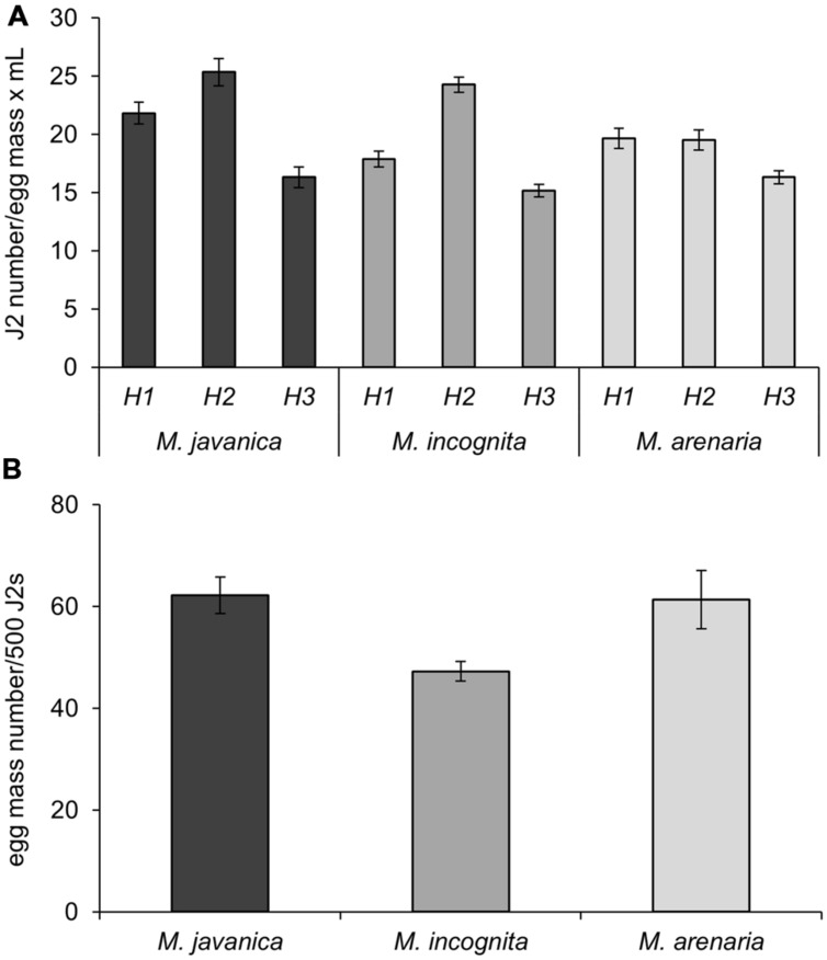 FIGURE 3