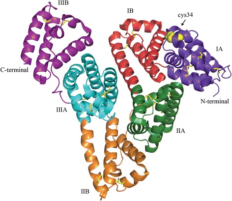 Fig. 1