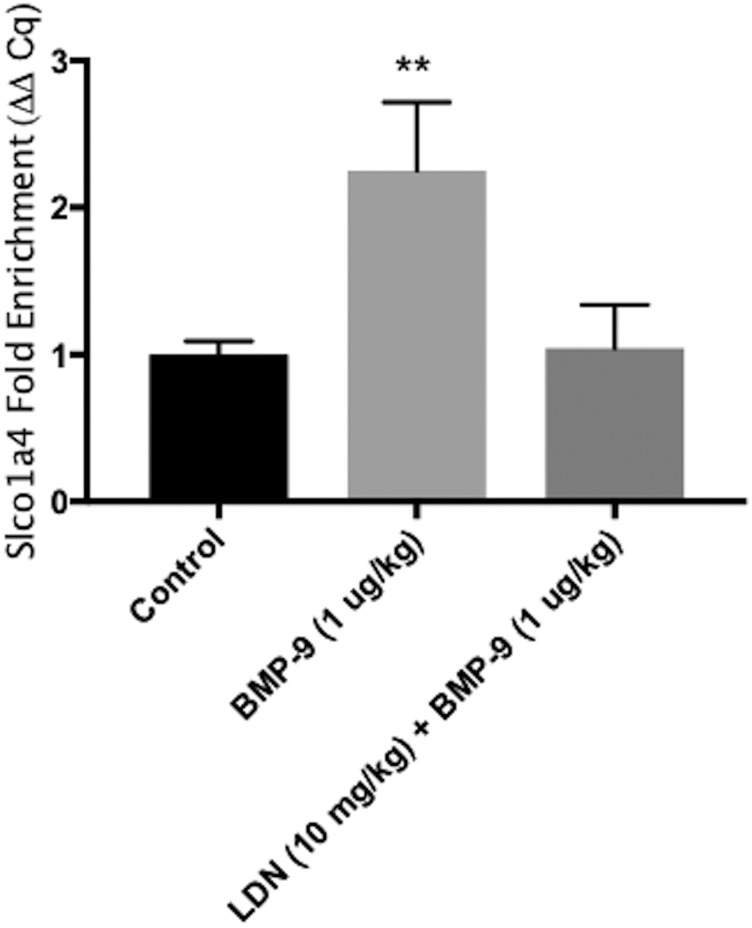 Fig. 8.