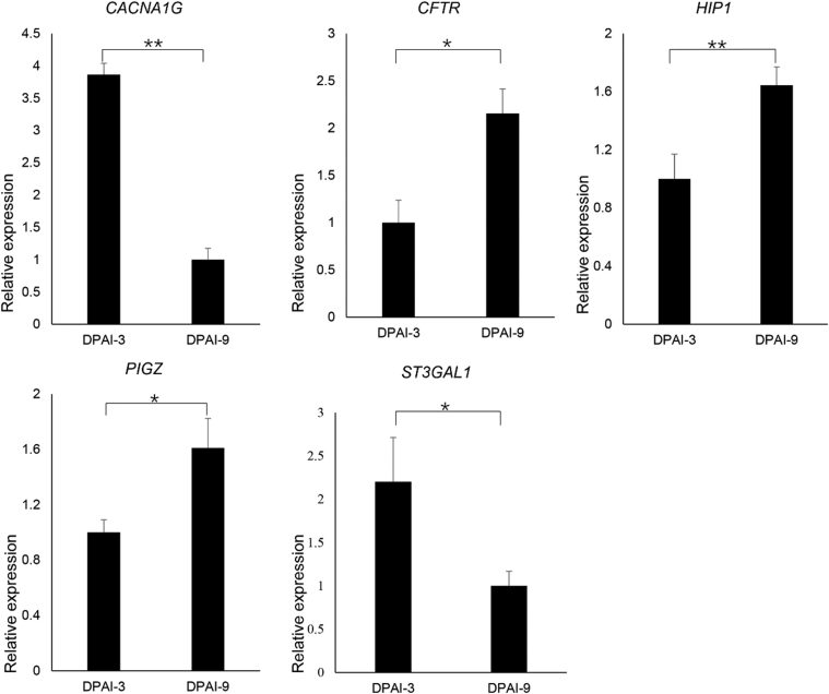 Figure 3