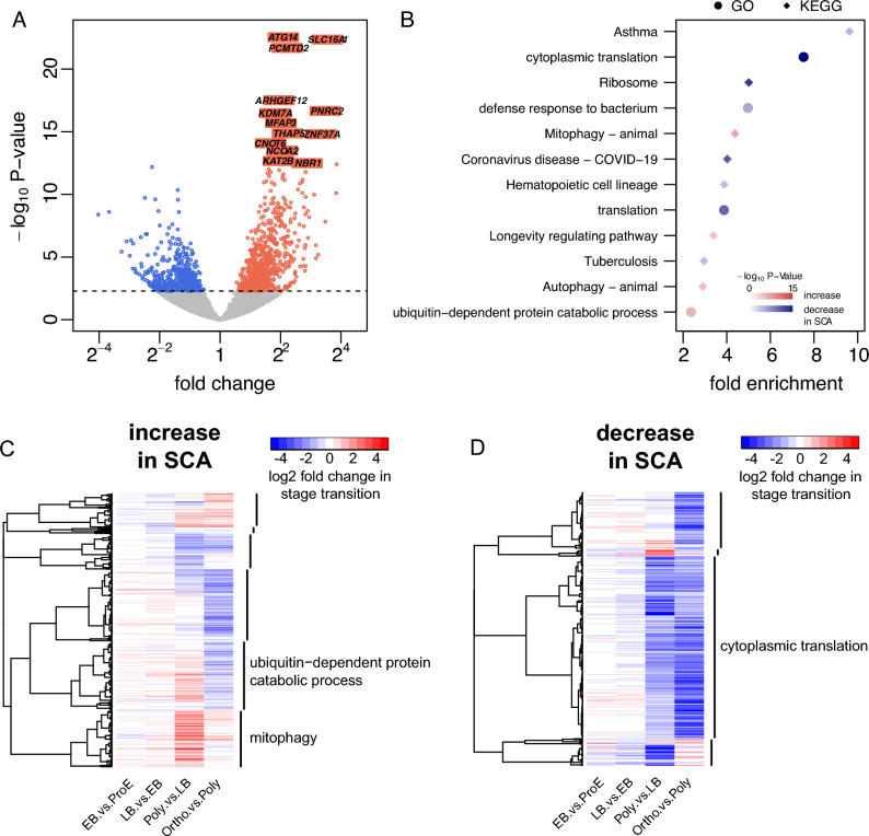 Gene expression changes in sickle cell reticulocytes and their clinical ...