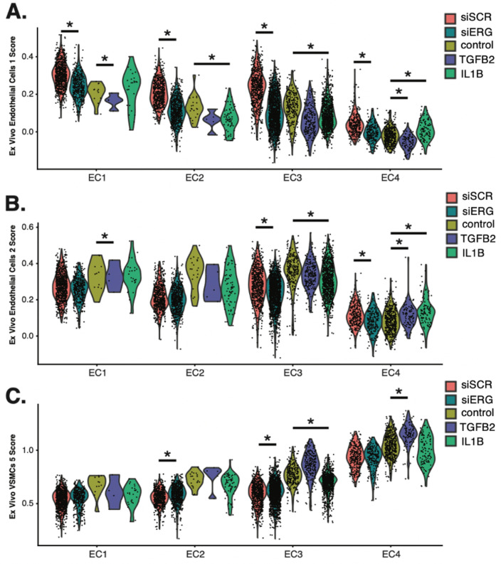 Figure 5—figure supplement 5.