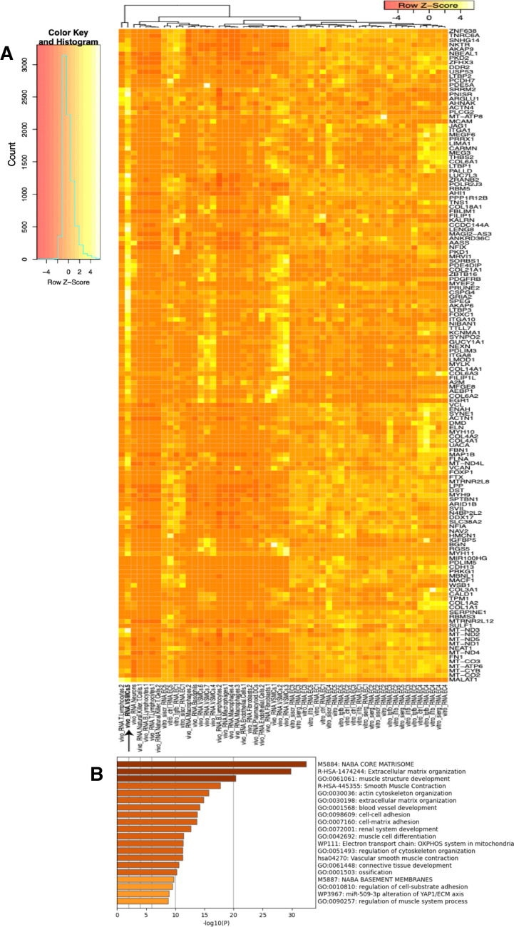 Figure 5—figure supplement 4.