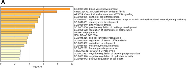 Figure 6—figure supplement 1.