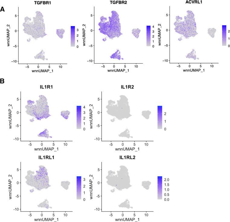 Figure 3—figure supplement 2.