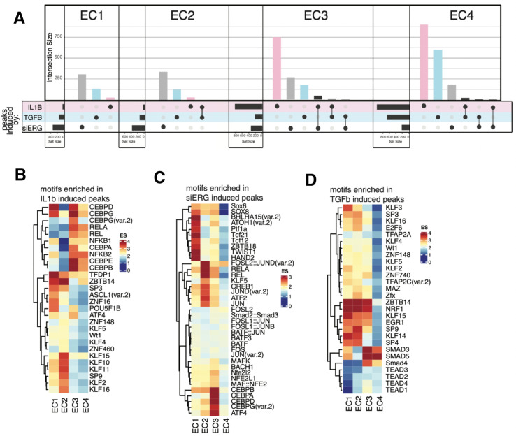 Figure 4—figure supplement 1.